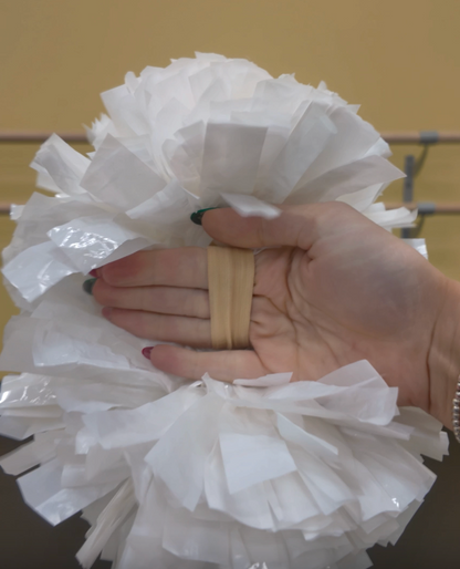 The Precision Pom (set of 2)